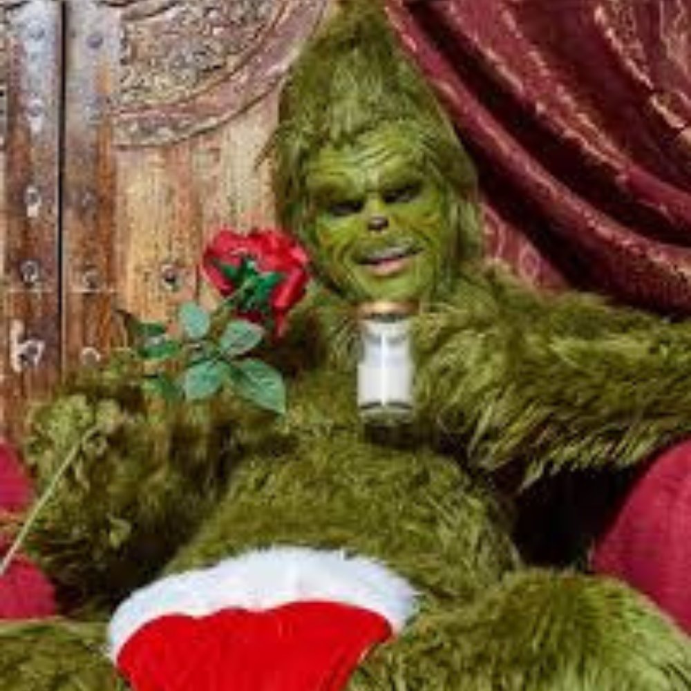 i actually think $groonch might be one of those rare tokens that occupies the shared space between

"i find it funny but trench losers have zero taste" and mass meme appeal

will prob take a few days for anyone to care and then there will be 79 vamp attempts

lets have some fun