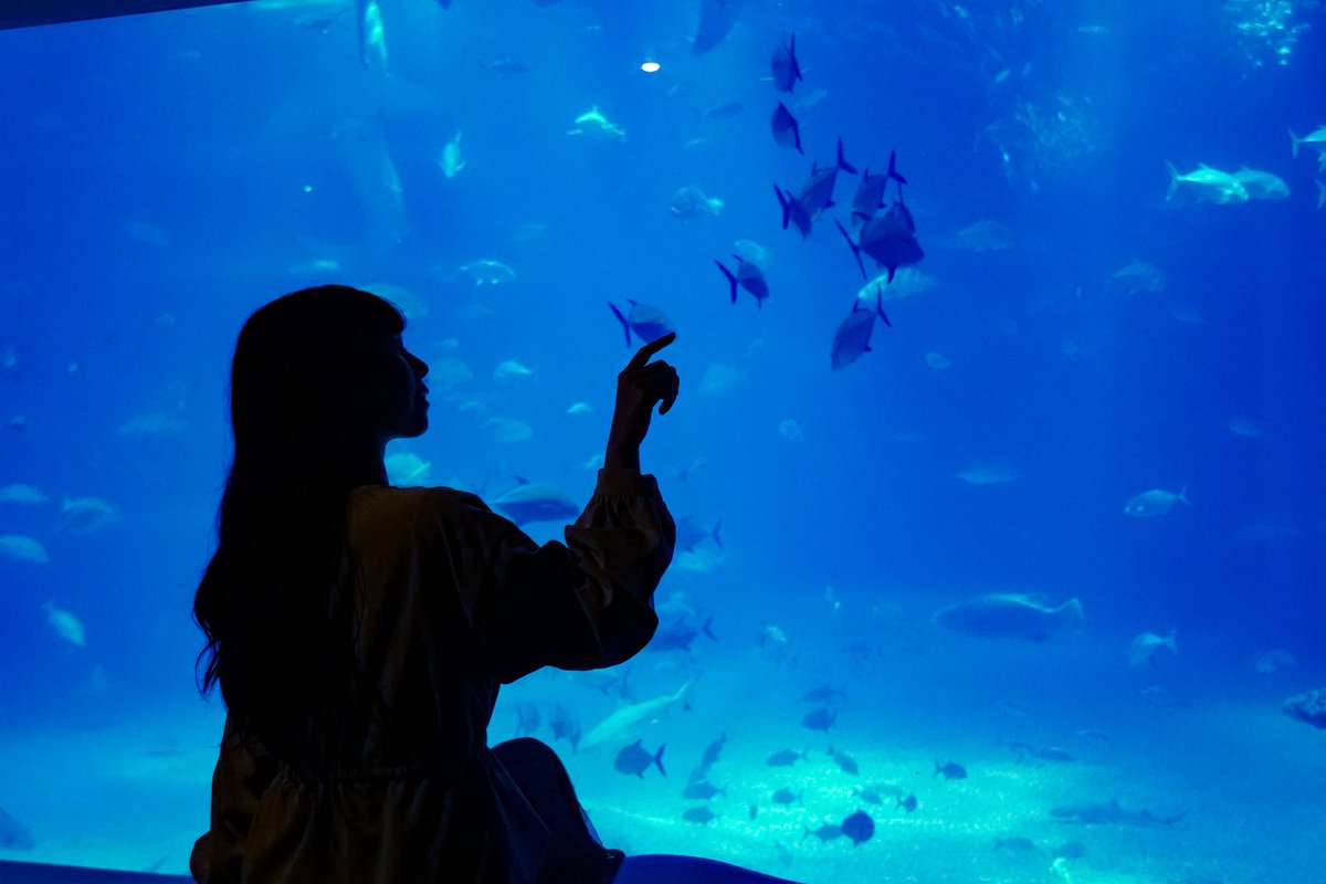 あお 𝓴𝓸𝓰𝓪𝔂𝓪. (@kogaya7) / Posts / X