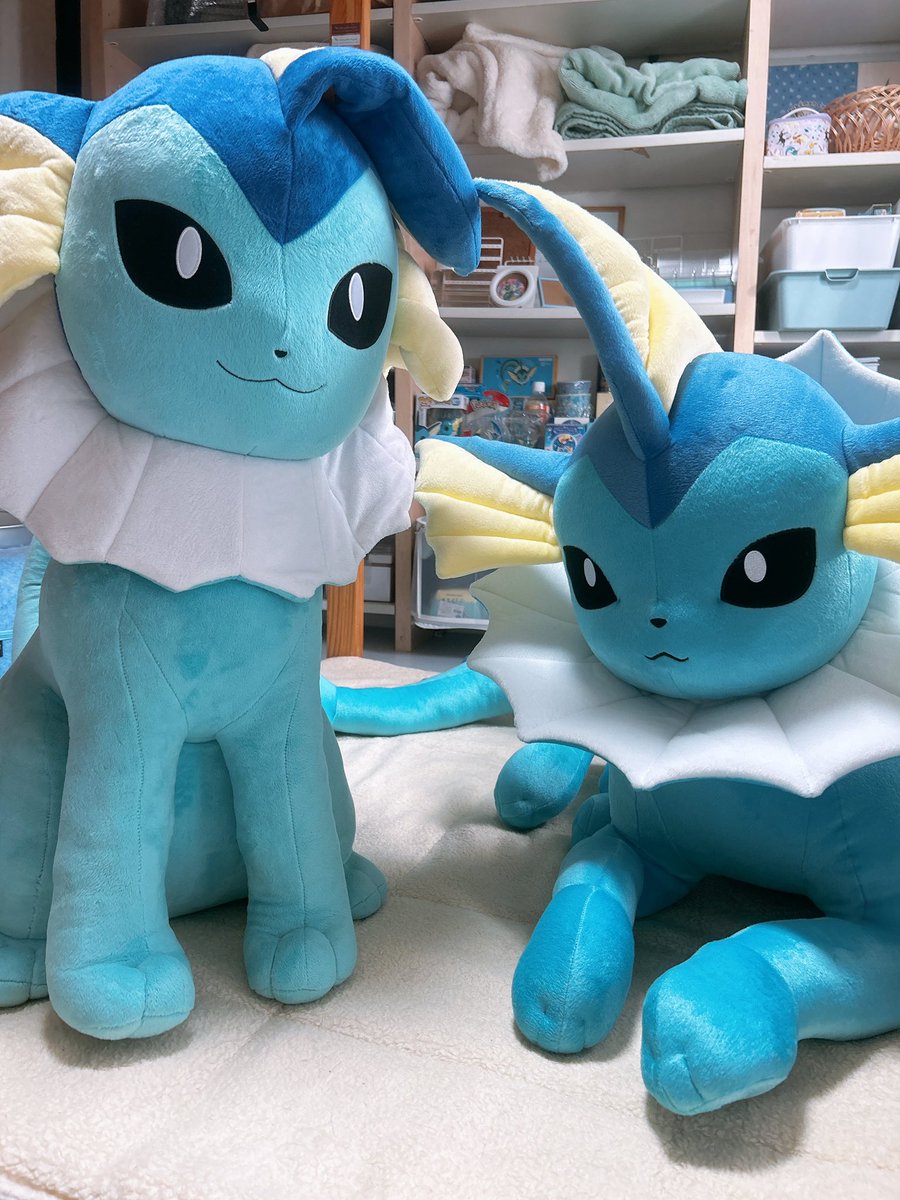 もみねこ (@Vaporeon134_) / Posts / X