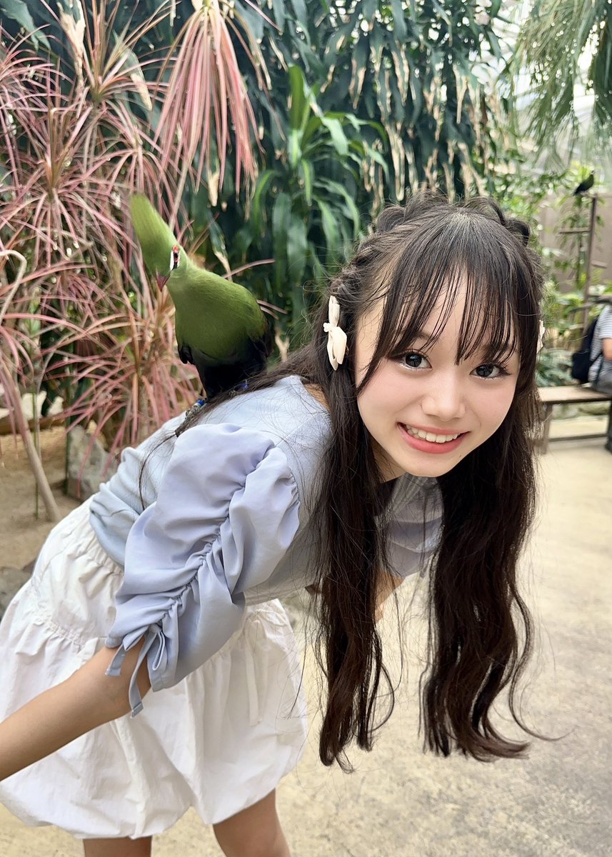 ぐりおさま ぐりお on X