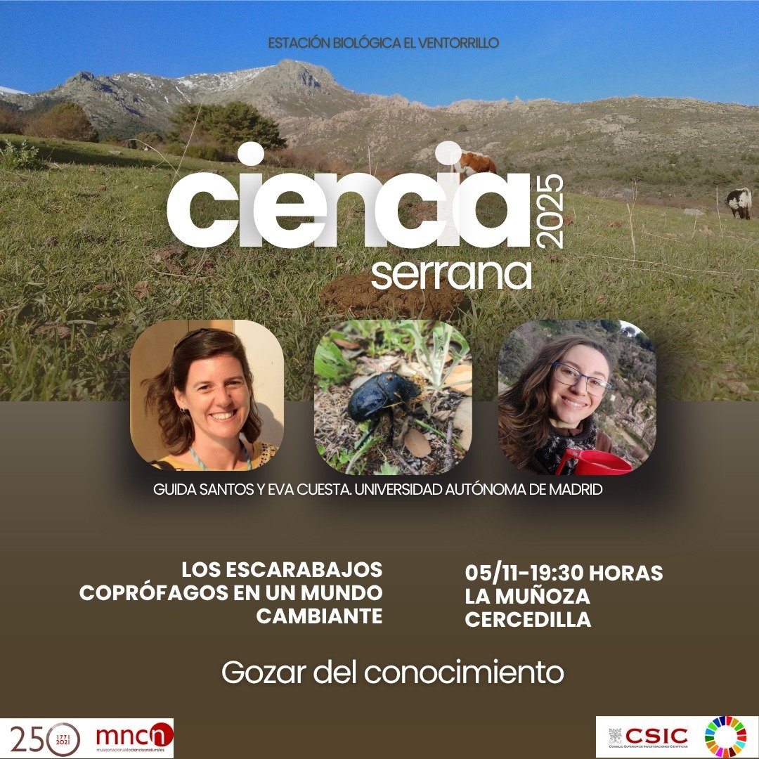 Guida_Santos7's tweet image. Beer + Science, a perfect combination! We will be giving a talk about dunng beetles and global change?! 

Ven a Cercedilla a tomar una cerveza mientras aprendes sobre cambio global y escarabajos coprófagos

@dungpool_proj
