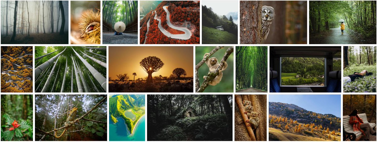 Alamy Content Team tweet media