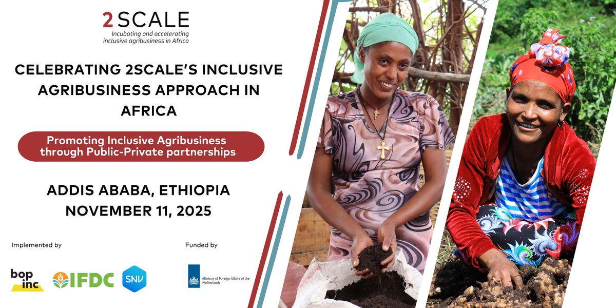 SCALE_2's tweet photo. 📅 11 Nov 2025 | 🕘 9:00 AM | Addis Ababa, #Ethiopia
Join us in this 2SCALE Close-Out Event — showcasing impact, collaboration, and local ownership in transforming food systems.
🎥 Follow live: https://t.co/oa8YakPF4i
#2SCALEImpact #FoodSystems
@Bopinc @IFDCGlobal @SNVworld https://t.co/xWMbrypcEb
