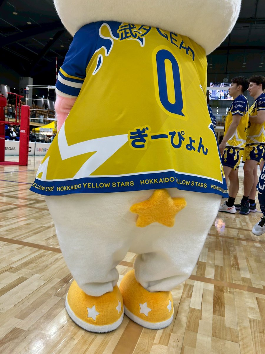 ぎーぴょんですっ‼️🐰🫡

後ろ姿も可愛いんですっっ🫶🫶

以後お見知りおきを🤗