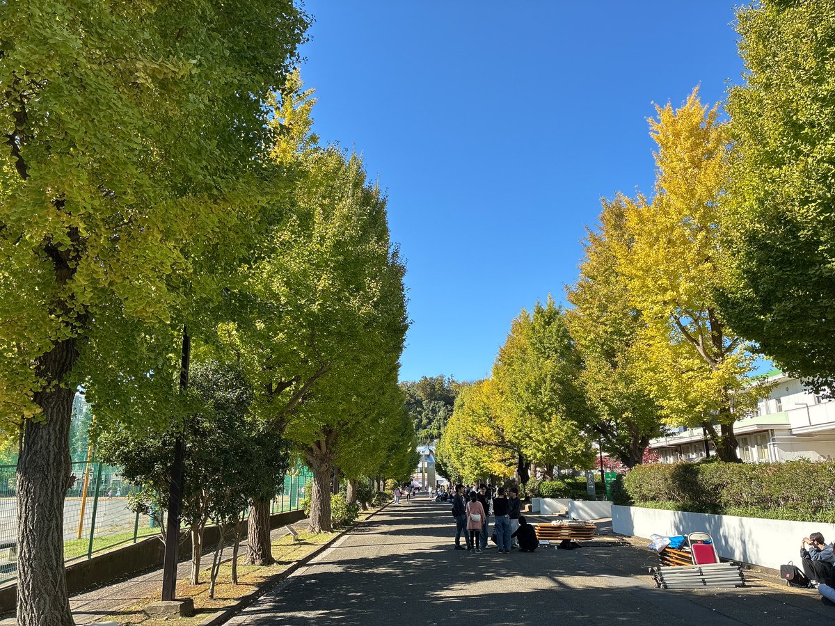 chiakiitoh's tweet image. 浜大祭実行委員や出店者が片づけをやっていました。祭りのあとは、切ないけれど、次の祭りの準備はすでに始まっていると考えることもできますね。
私はというと12/14 (日) の報告に向けた予稿集原稿を2頁ほど書き進めました。
#浜大祭2025 #solaris #浜大祭 #横浜市立大学 #金沢八景