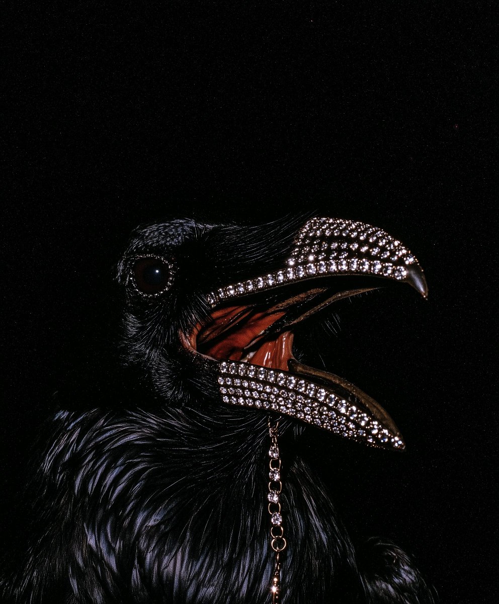 We love high contrast