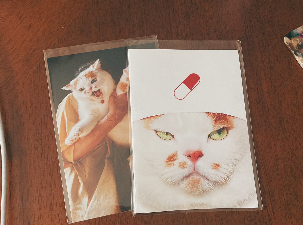 MARCO 🟡写真集「メイ先輩」🟡 (@marco74444) / Posts / X