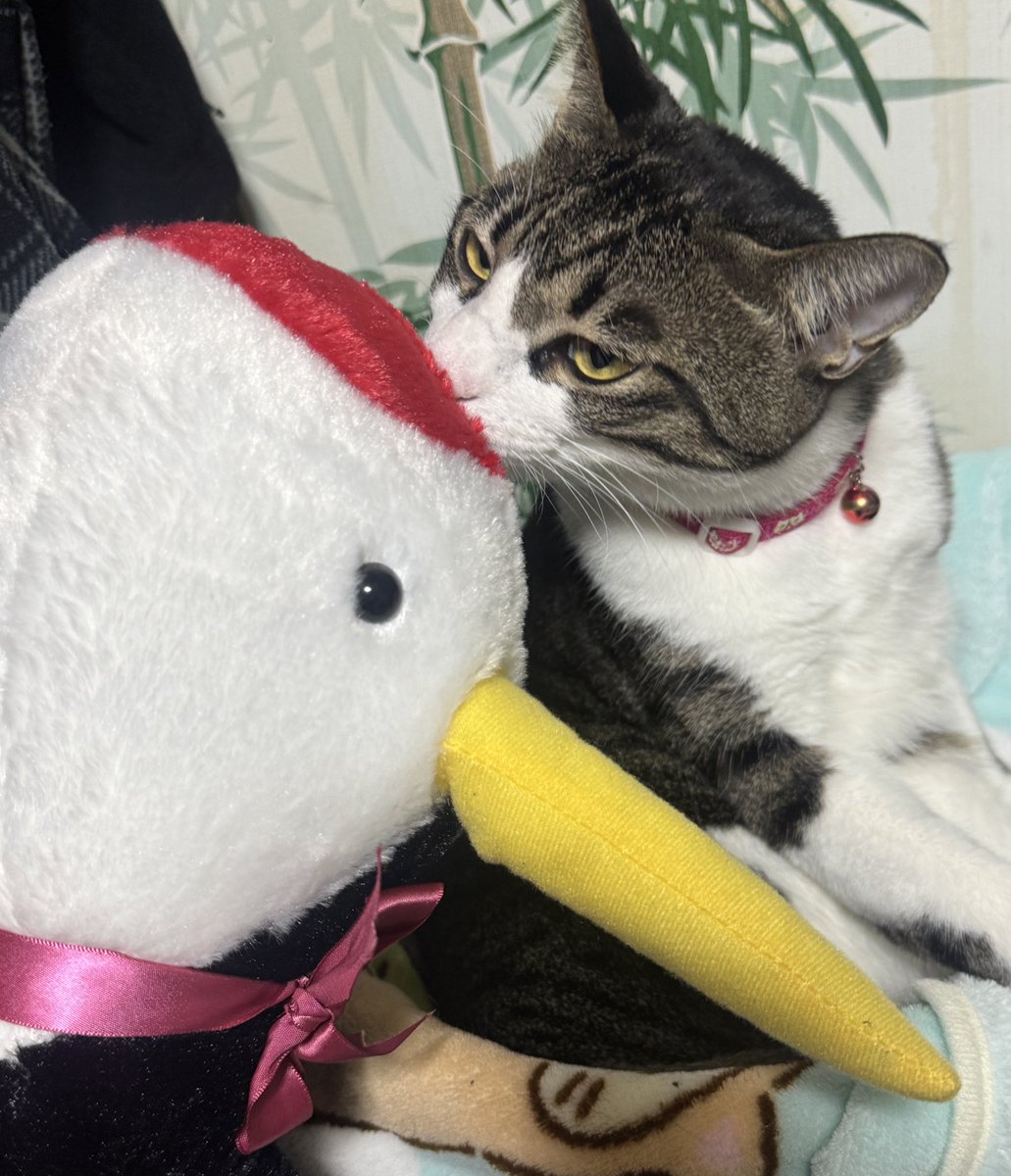 吉美子 ヒロミ on X