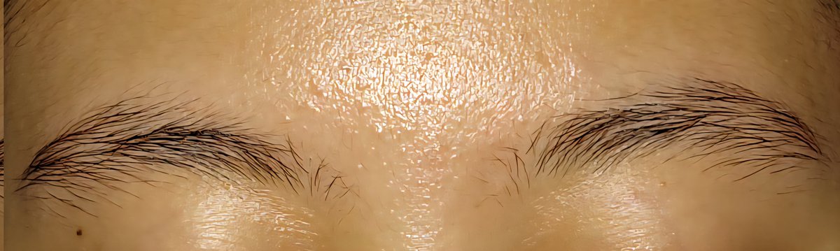 🩷 WOMANFEEDS 🩷 tweet media