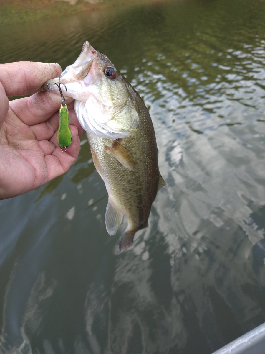 本日はボートday✨ 
ナマズ釣るのが特技です👍
