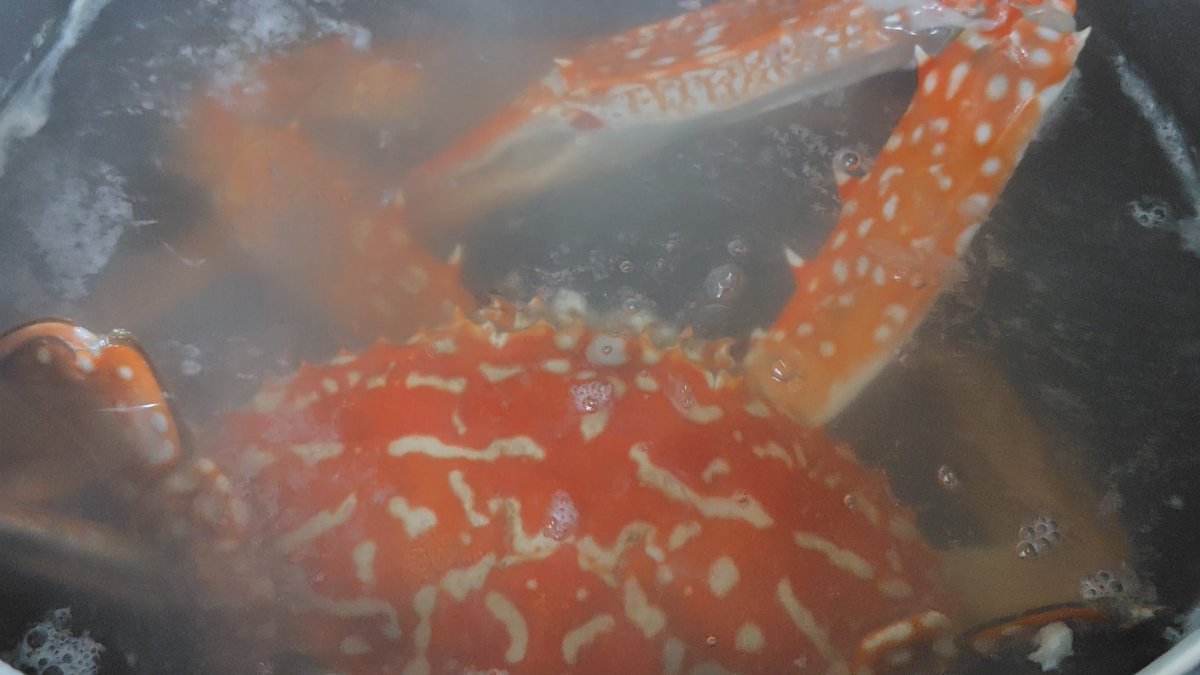 蒼月 (@so090207) / Posts / X