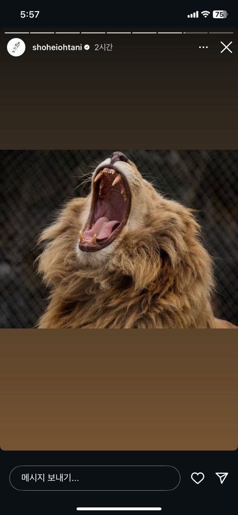 .. (@r8_0210) on Twitter photo 