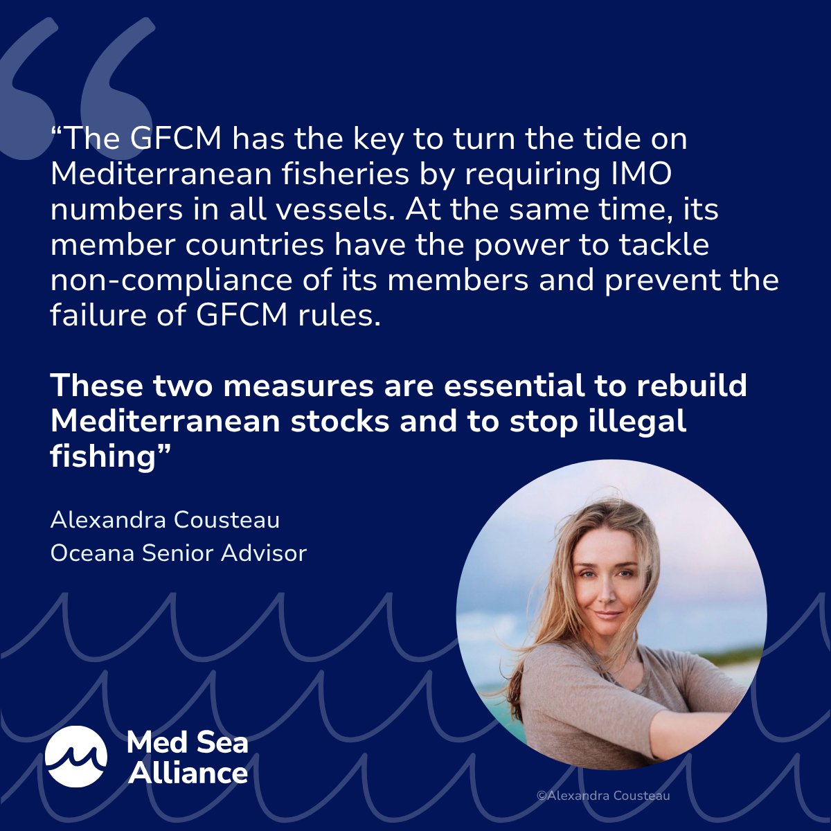 At the <a href="/UN_FAO_GFCM/">General Fisheries Commission for the Mediterranean</a> annual meeting this week, we urge Mediterranean countries to address the lack of compliance with existing fisheries measures and to adopt binding transparency rules 🐟 europe.oceana.org/press-releases…

#GFCMSession #FightIllegalFishing #MedSeaAlliance