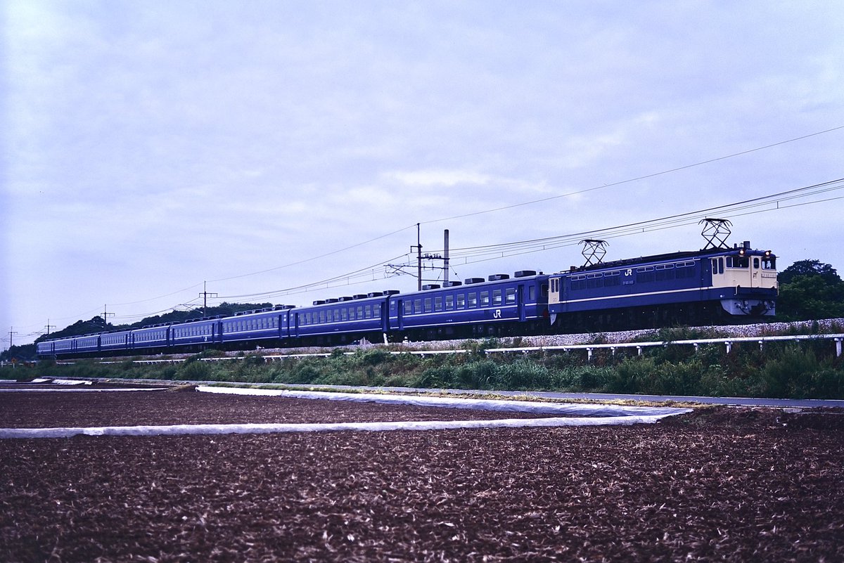 とーちゃん (@SIjy6qdepUXrPB0) / Posts / X