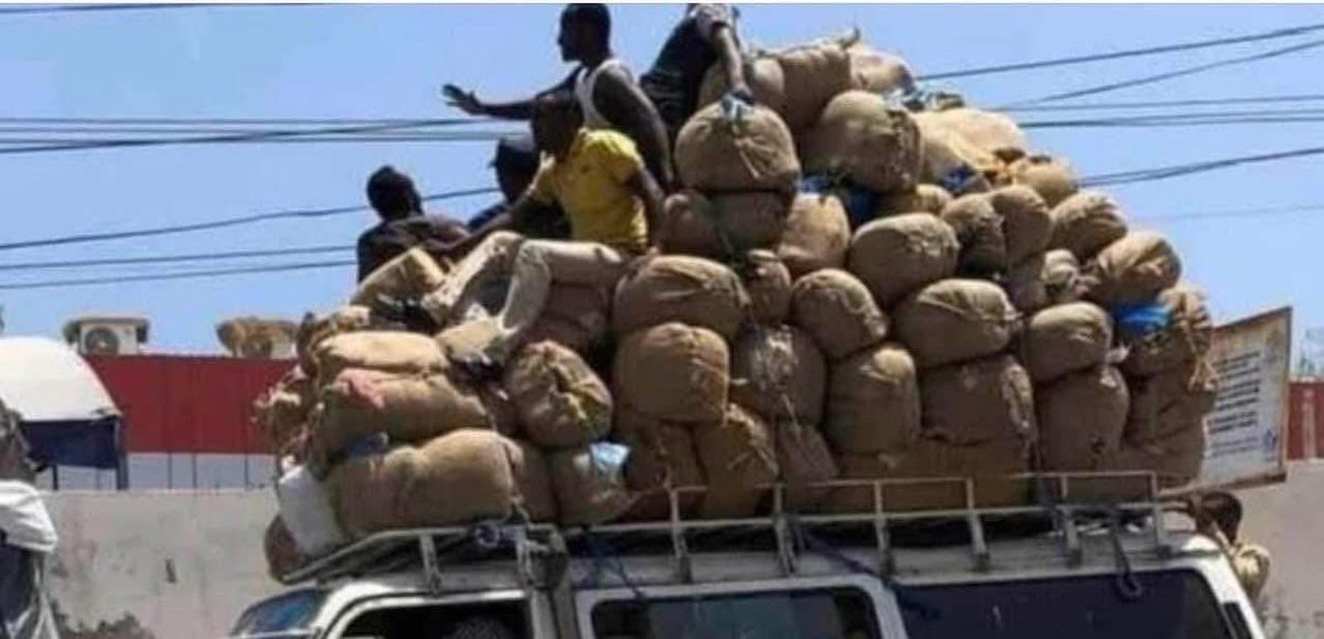 Qaadku waa hubka dahsoon ee lagu dumiyo Soomaaliya lagu gurto maalkeena lagu dooriyo maskaxdeena laguna fariisiyo muruqeena.