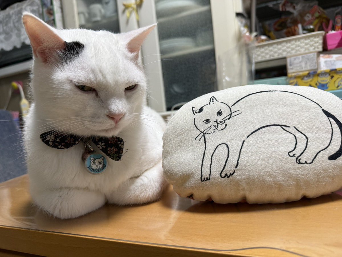 きみどひ ∠きみどり on X