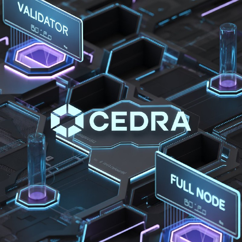 CedraVN's tweet image. 🌐 Run a Cedra Full Node, become a Validator 🔥

#CedraNode #Validator #Web3 #Blockchain #Crypto #Builders