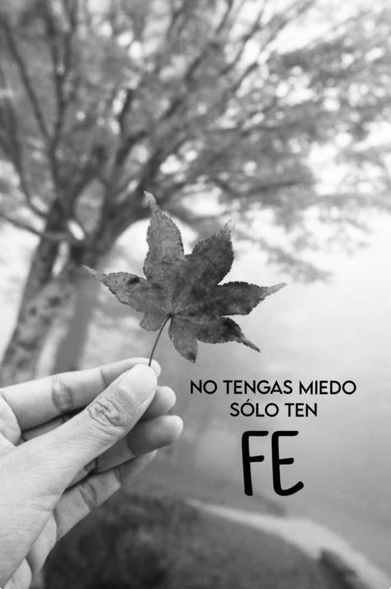 Dios en LETRAS (@diosenletras) on Twitter photo 
