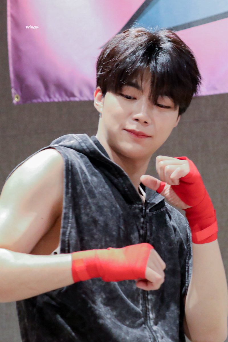 𝑾𝒊𝒏𝒈𝒔. tweet media