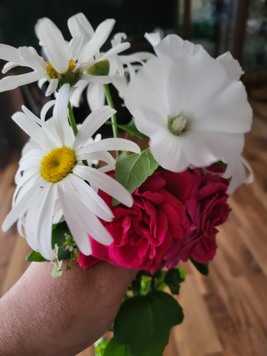 JonGallo11's tweet photo. The very last of the flowers, hope ya'll had a great summer. Glad to see i still have some followers, have a great one. 🙂🤗 https://t.co/rKKrwSFKhM