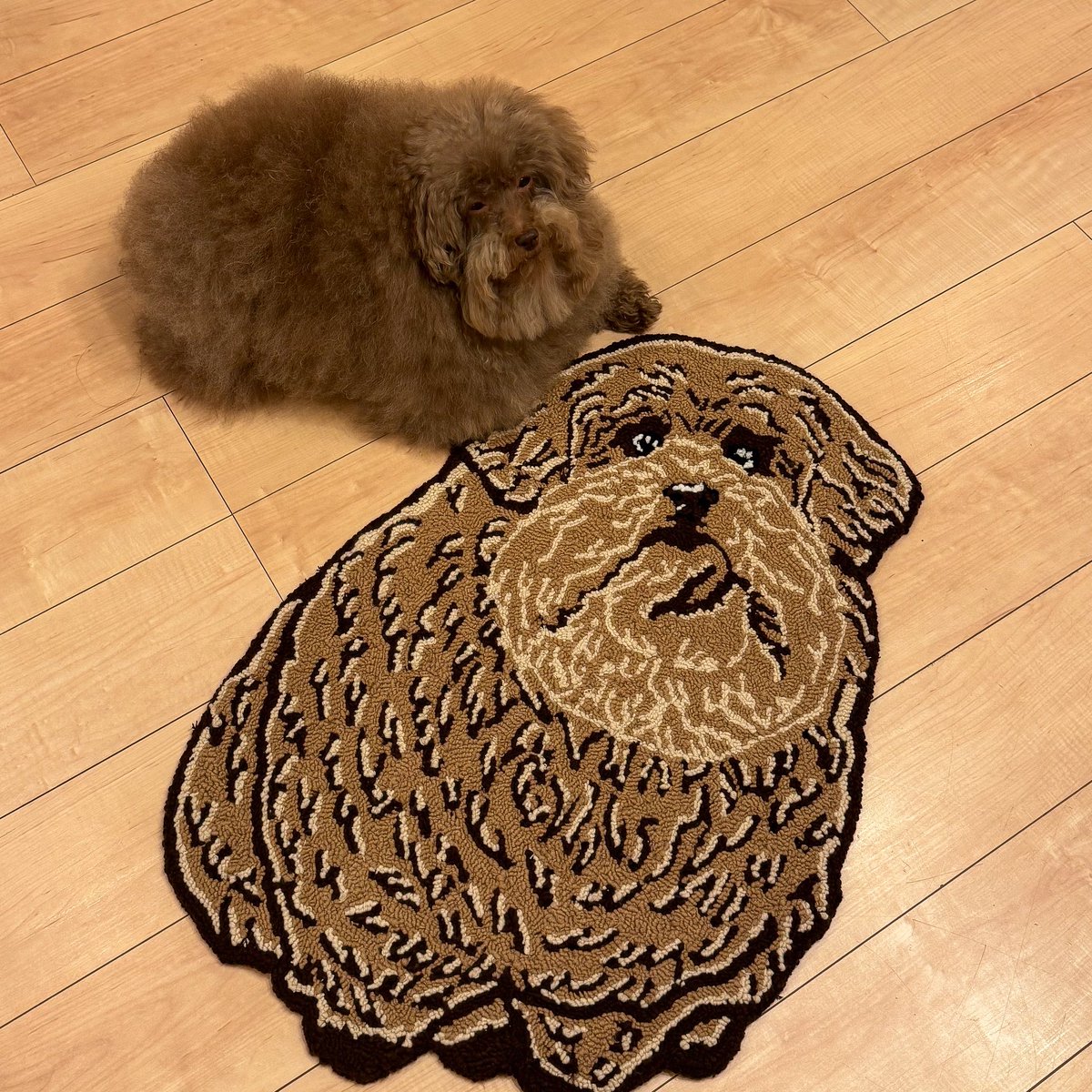 __mohu_c's tweet image. ごつもりラグマット