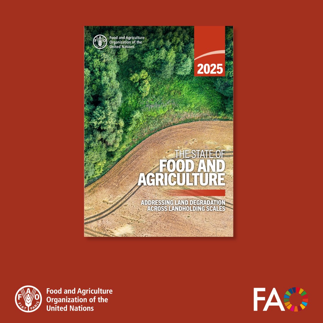 FAO Social & Economic Development tweet media