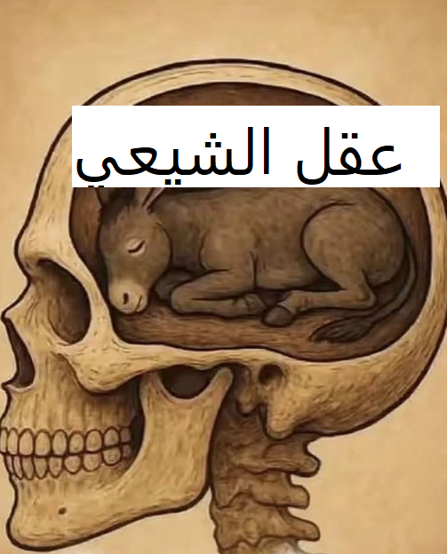 لينا الداعوق tweet media