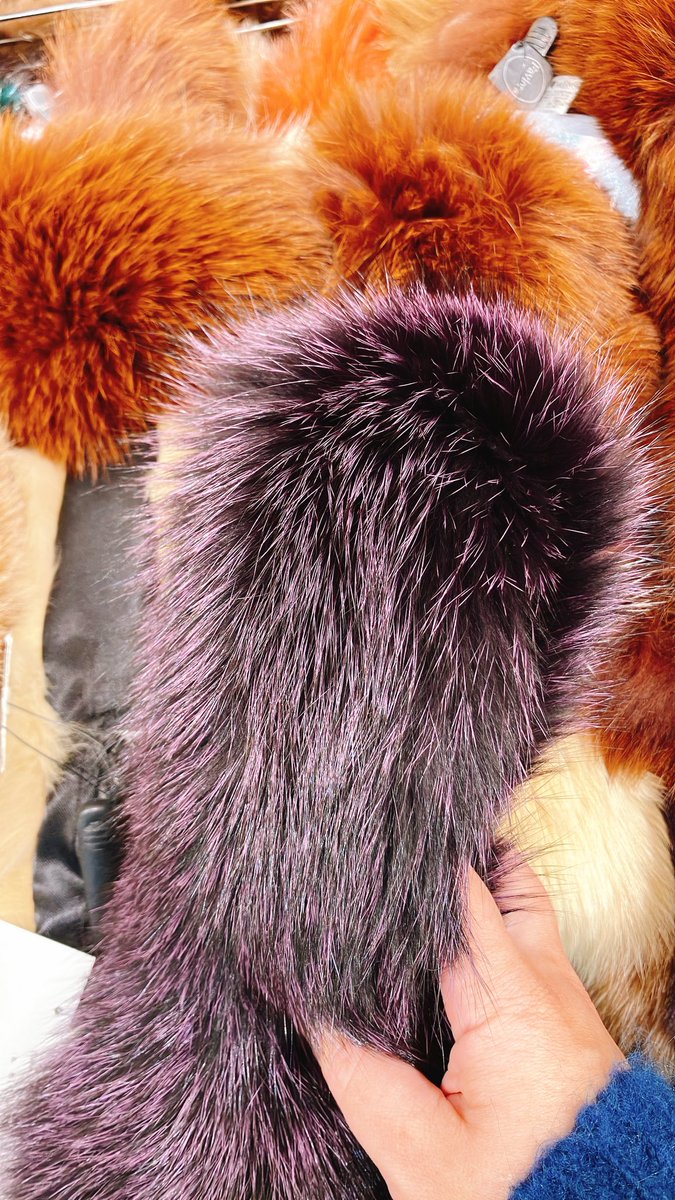 阪神のセールでふぉっくすマフラーが…紫色…なんというか

たまみつねのたわわな尻尾を感じてしまい🦊