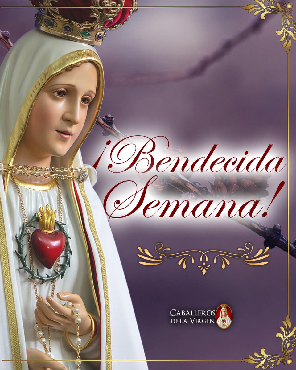 RuizHurtadoRE's tweet photo. Buenos Días!!
Que esta semana sea #Guiada por la luz divina. Que cada paso esté lleno de paz, fortaleza y esperanza. #MaríaSantísimaAcompaña nuestras jornadas y haz de cada día una ofrenda de amor a Dios. https://t.co/5iKBTGUFcR