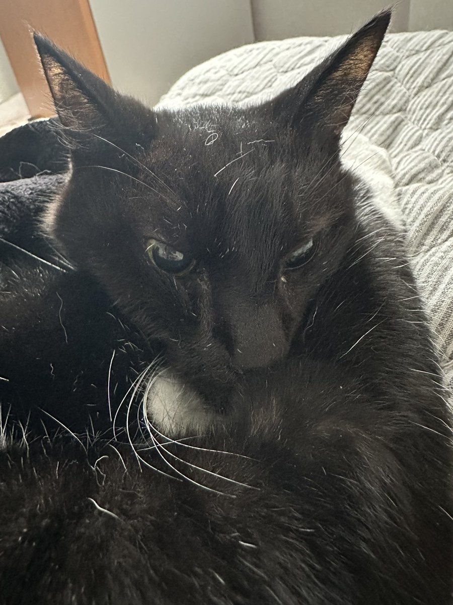 yokoページ YOKO🌙 (@lc2674styk) / Posts / X