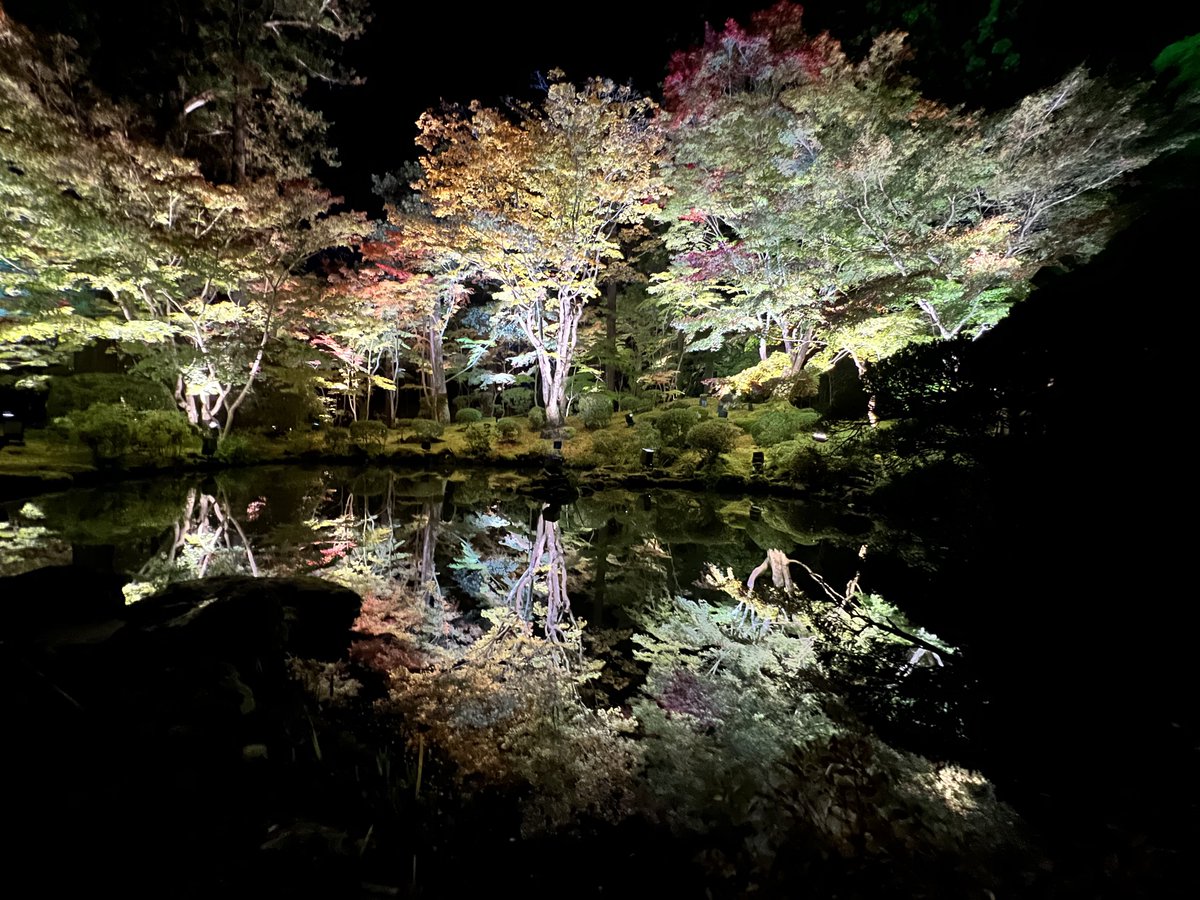 虫たちの演奏会があった
ジャポン玉が周りには浮いていたんだ

また順路を移動して

最後は池に映る紅葉
暗いから波のたたない水面に映る紅葉が鏡面世界にあるようで。