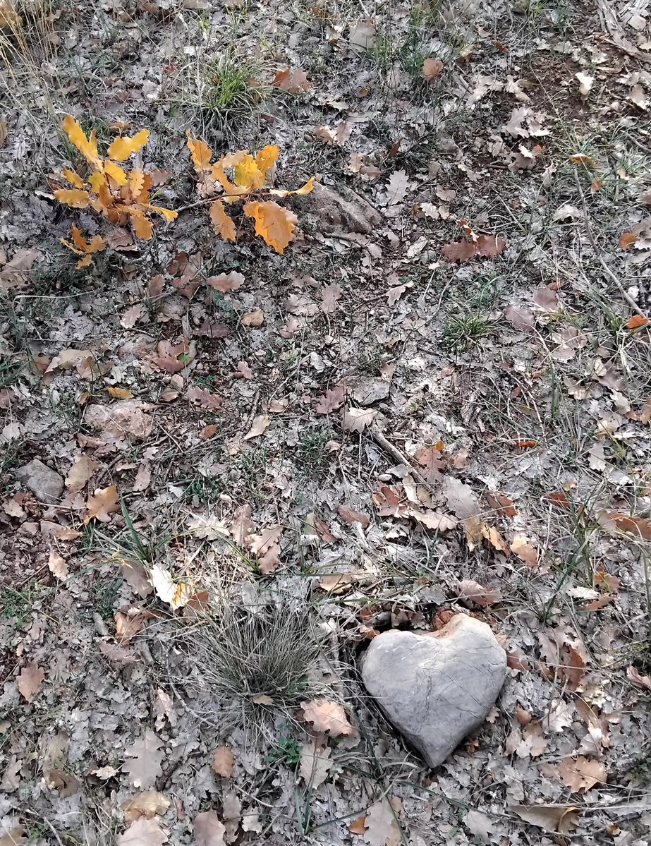 Από τον χθεσινό μου περίπατο στο δάσος, ευχάριστη έκπληξη μια πέτρα σε σχήμα καρδιάς! Η φύση μας δείχνει το δρόμο!
📸