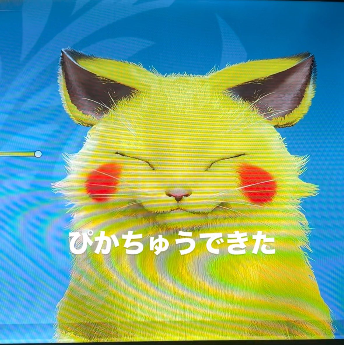 可愛い子できたのでもんはんします