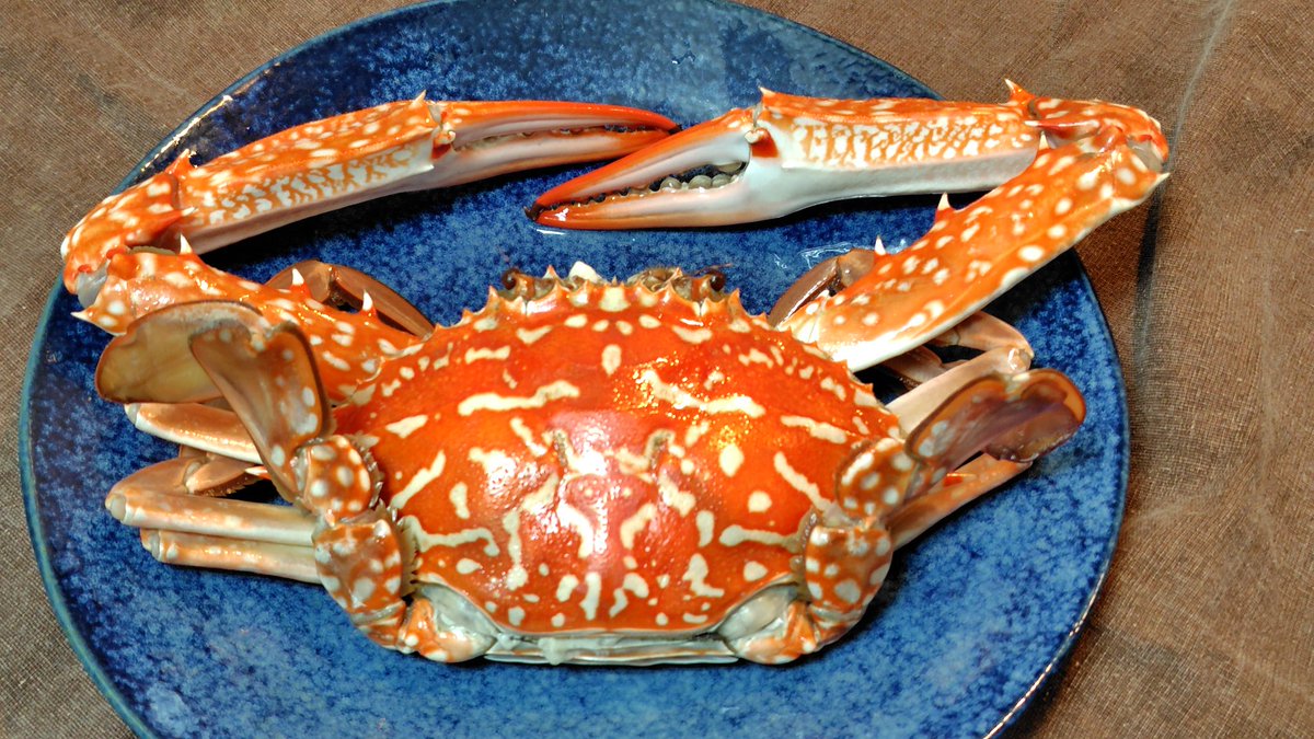 蒼月 (@so090207) / Posts / X