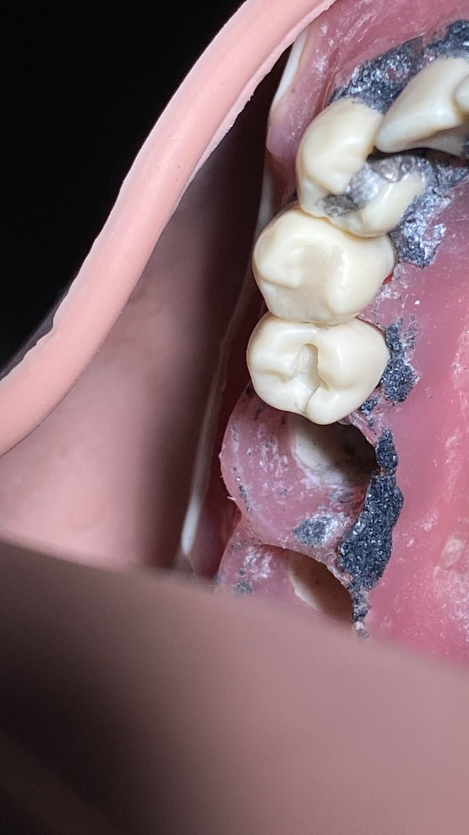 رَهَـف tweet media