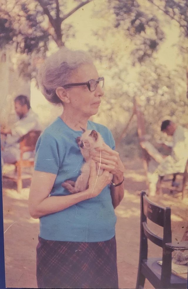 luuucorral's tweet image. algo arrepiante e completamente fora desse mundo é visitar o museu do inconsciente, fundado pela nise da silveira, e ver uma centena de gatos andando soltos na volta dele. ela era apaixonada por gatos e utilizava eles como co-terapeutas. mesmo dps da partida dela, eles seguem lá