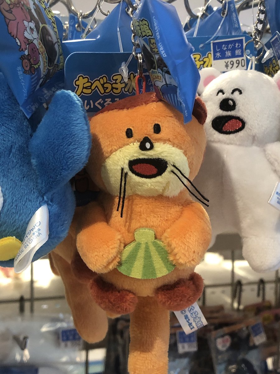 左ジュズサンゴ　右ヒゲ