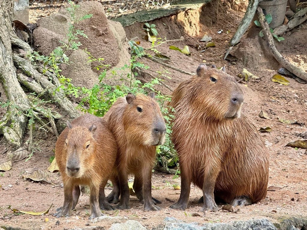 Potterlovesbenis (@potter_benis) on Twitter photo 