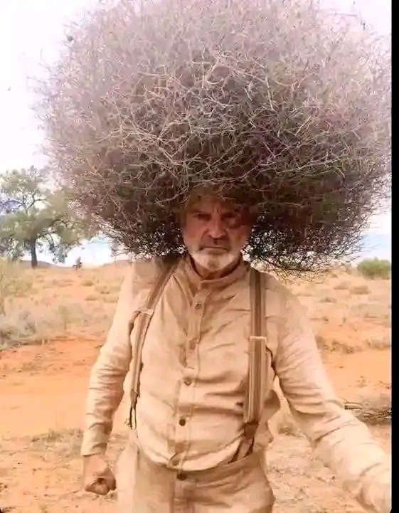 Bemoon208's tweet photo. The guy who said he can't shave his hair until man u wins five games in a row 🙌. https://t.co/idol8rovYf
