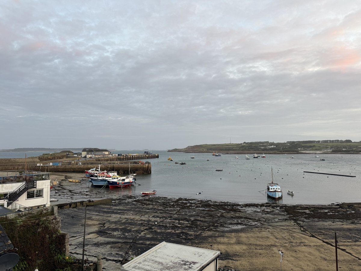 come2scilly.com tweet media