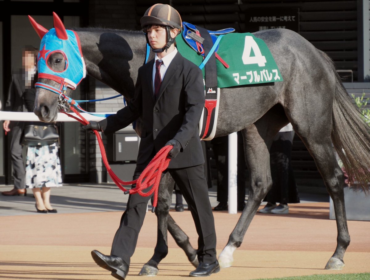 馬乗り大将 et-coquine on X