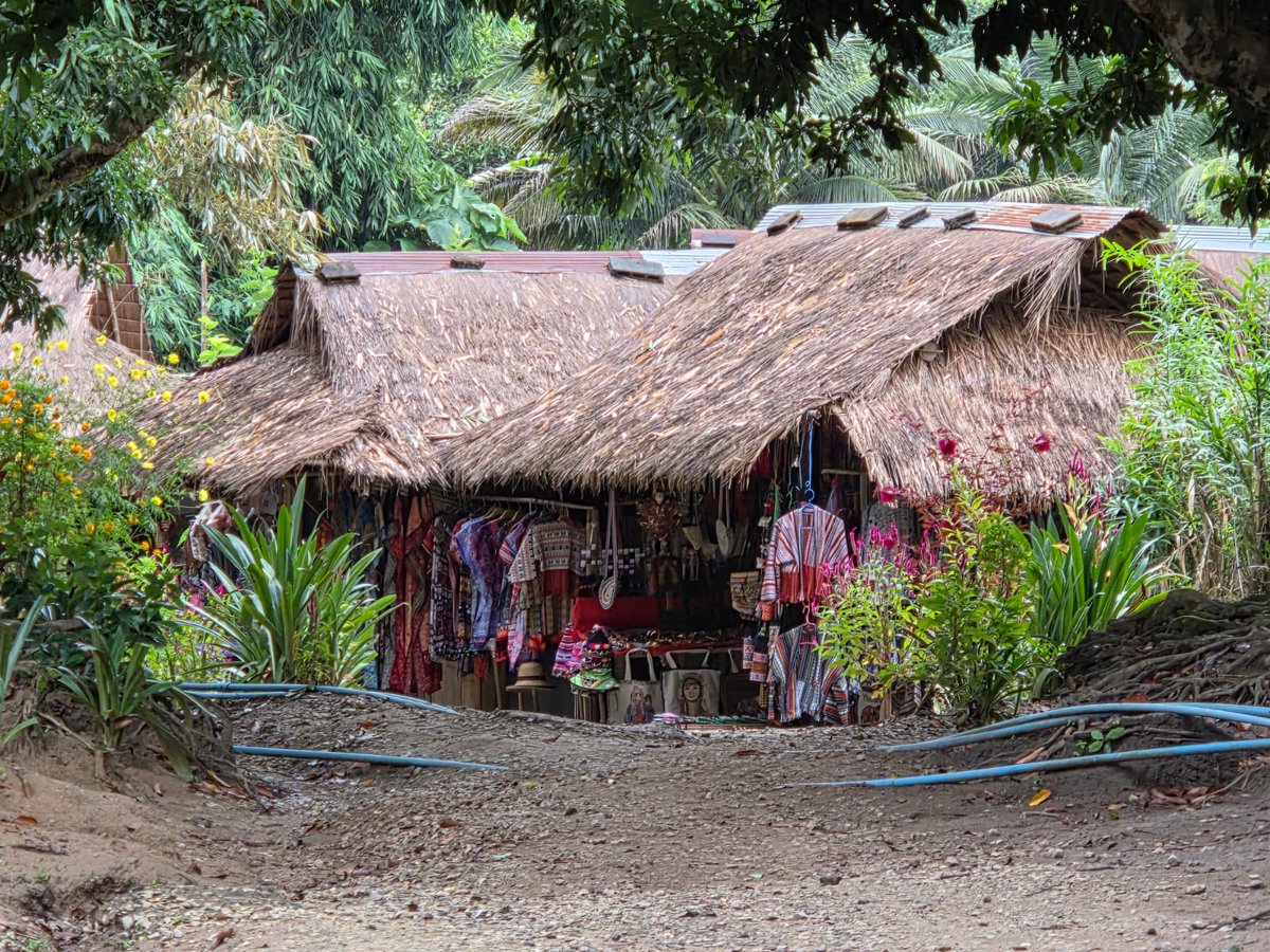 skymanuelima's tweet photo. Aldeia da tribo das mulheres girafa em Akha, norte da Tailândia, junto ao triângulo dourado, onde a Tailândia faz fronteira com o Laos e Myanmar. #Mulheres_Girafa #Akha #Tailândia #travelphotography #viagens #FotógrafoAmador https://t.co/uTw3hyc1Lm