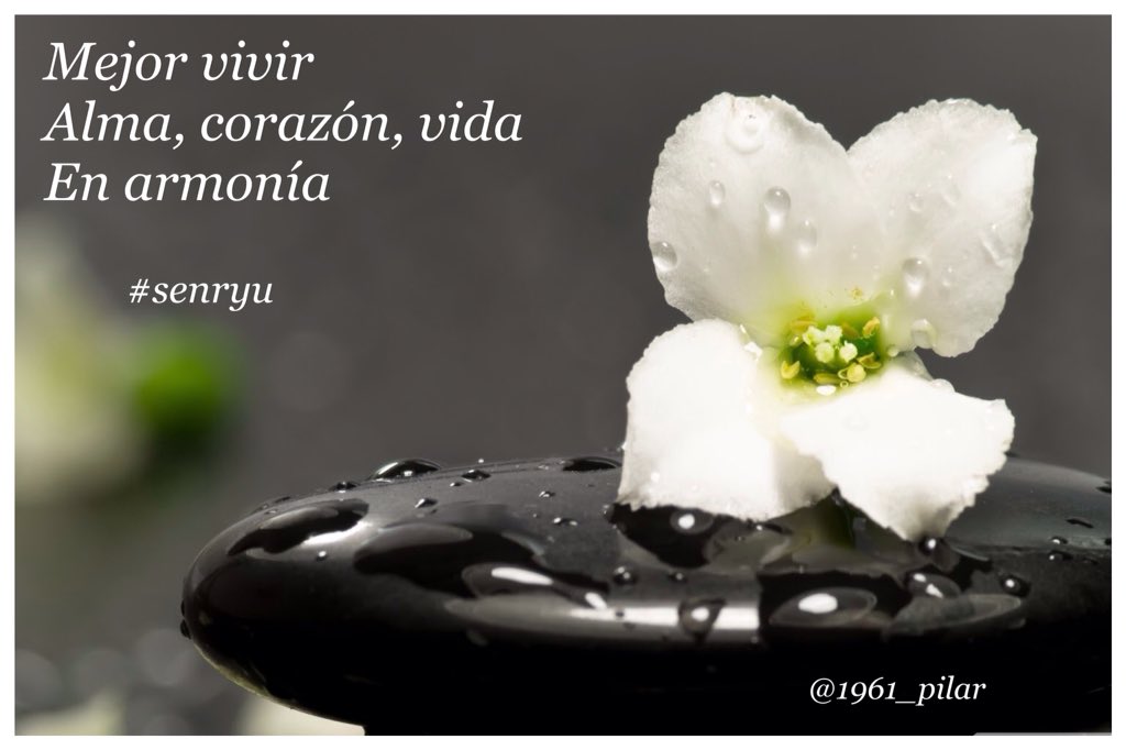 Un nuevo amanecer ¡Buenos días!

Mejor vivir...

~senryu~

#LYF15  #VAFlorDePiel