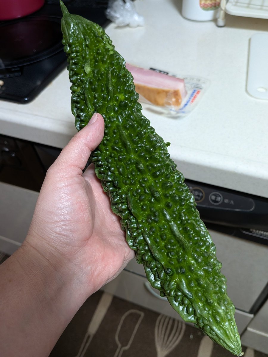 特価！！安すぎは困りますが(;´д｀)笑☆交渉は致します(^^) ドル円年末160円予想】日米関税合意でドル高加速、佐々木融氏が警鐘を