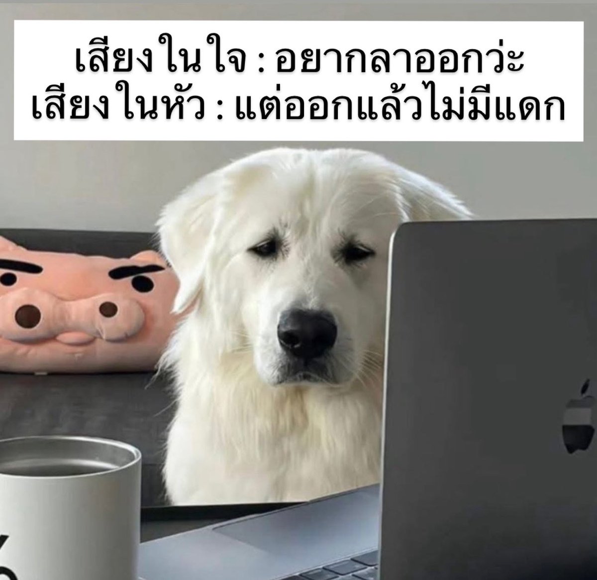 sfkkfs_'s tweet image. ชีวิตกุชัดๆ 55555555555