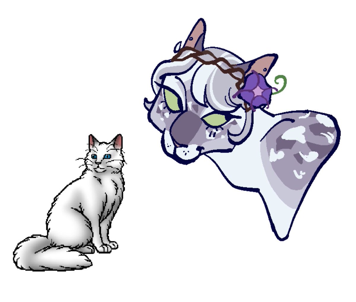 lesbimew's tweet photo. snowfur and thrushpelt https://t.co/h3r3ykcWUb