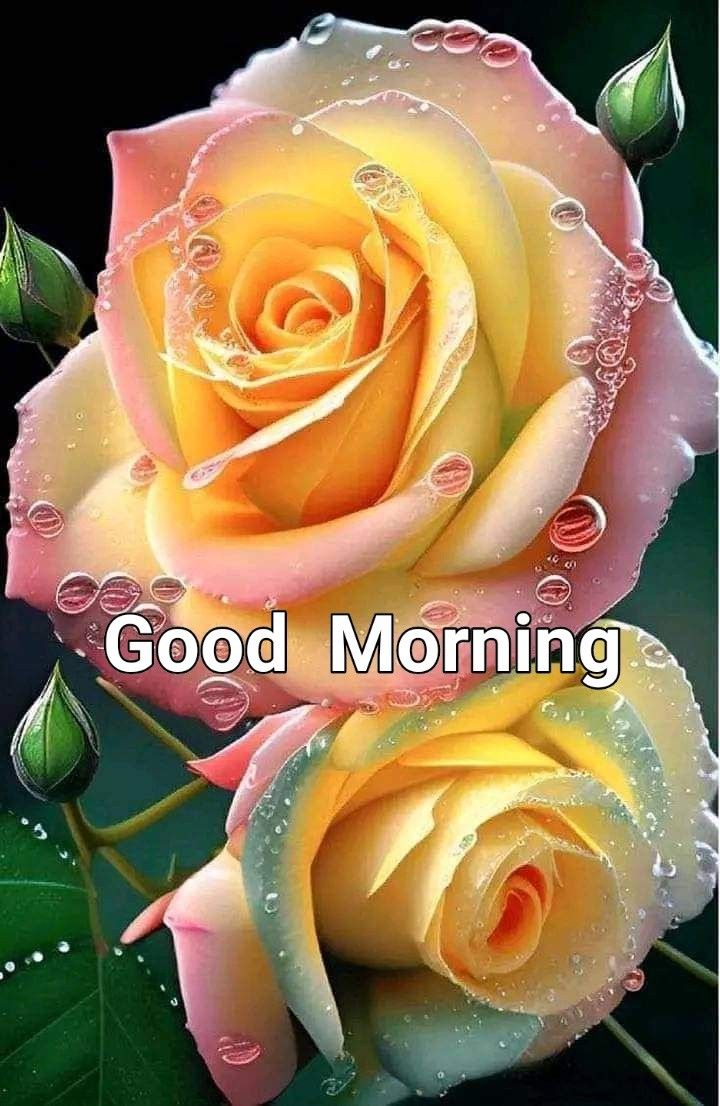 BalbirBhuie3's tweet photo. https://t.co/eFWb3io7ay
