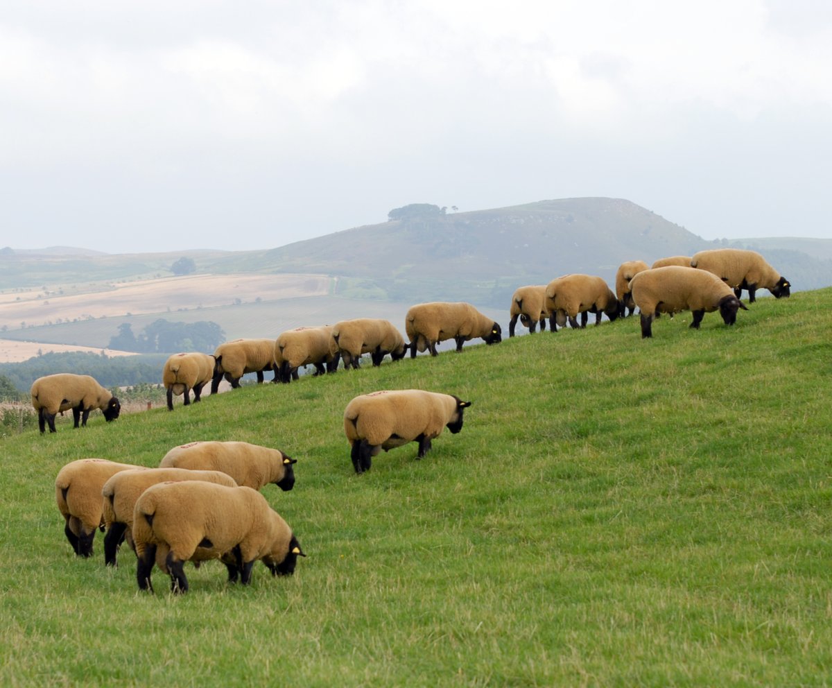 Bruce Jobson tweet media