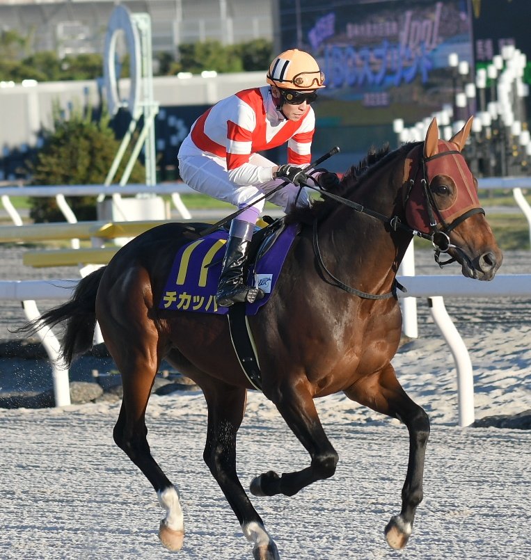 STONE  赤 トレーナー【早い者勝ち】 ギャラリー】2022 SUPER GT RD.7 AUTOPOLIS 11号車 GAINER TANAX