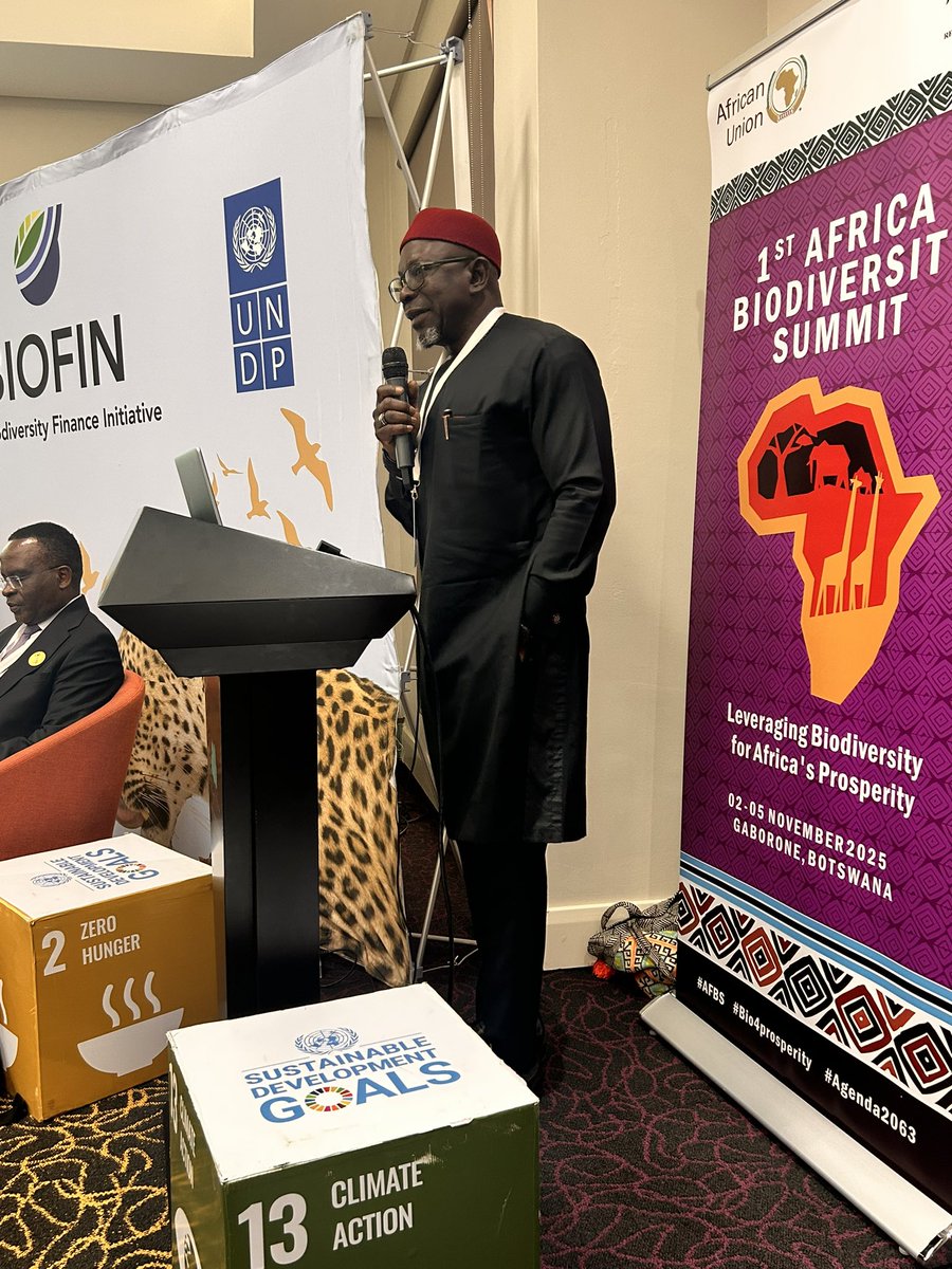 Investing in #nature; unlocking #private capital for #biodiversity. day 2 of the #AfricaBiodiversitySummit . Land restoration, climate resilience &amp; just transition - opportunities that can be harnessed via biodiversity #financing . #PathwaysToProsperity